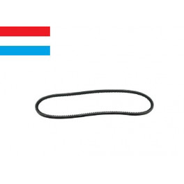 Courroie d'alternateur 10x710